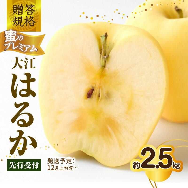【ふるさと納税】《先行受付》贈答規格 蜜入りプレミアム大江はるか約2.5kg 特秀〜秀【2025年12月上旬〜発送予定】【大江町産・山形りんご・りんご専科 清野】 リンゴ 林檎 フルーツ 果物 産地直送