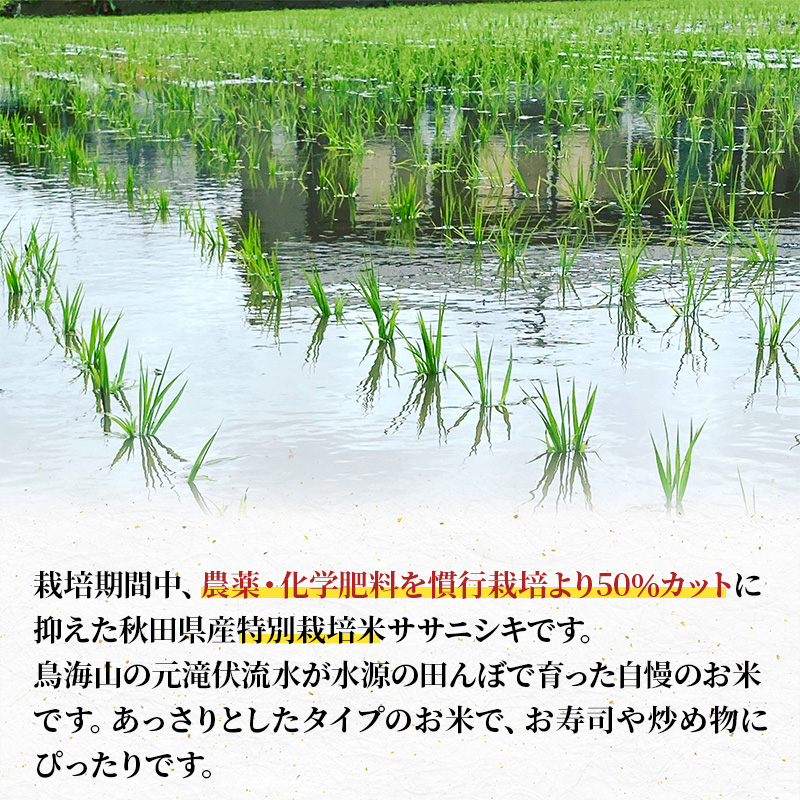 【令和8年産 新米予約】【無洗米】秋田県産特別栽培米ササニシキ10kg（5kg×2袋）新米 お米 おこめ 精米 小分け 特別栽培米