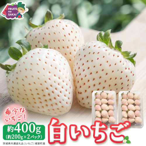 白いちご 約200g（15～18粒）×2パック【2027年1月から発送開始】（茨城県共通返礼品 [いちご]：城里町産） 茨城県 県産 人気 厳選 果物 くだもの 旬 旬の果物 旬のフルーツ フルーツ ギフト 贈答 いちご イチゴ 苺 白いちご [FC89-NT]