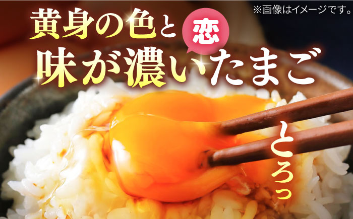 【全6回定期便】特選素直な恋たまご60個入り[JAP004] たまご 60個 鶏卵 玉子 大容量 国産 卵かけご飯 たまごかけご飯 すき焼き 66000 66000円