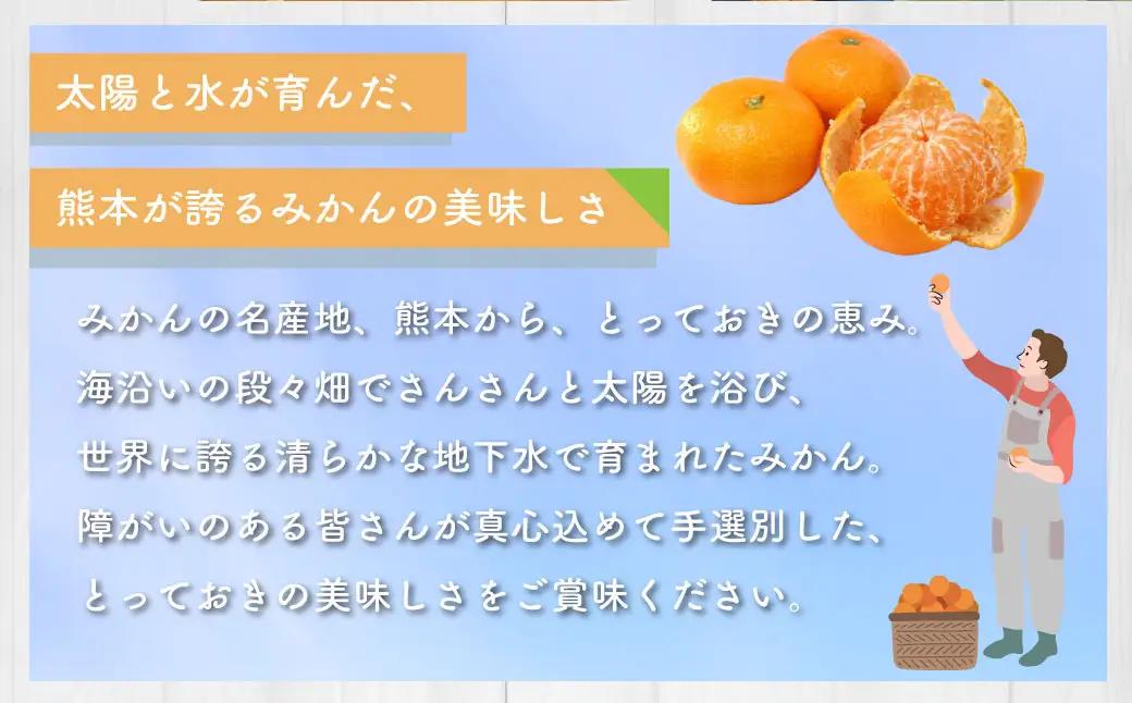 ＜ R8年熊本地震復興支援 ＞熊本県産 みかん 【手選別まごころ選果】 約3kg サイズ 2L～S 蜜柑 ミカン フルーツ 果物 くだもの 柑橘 熊本産 九州産【2026年10月下旬～2027年2月上