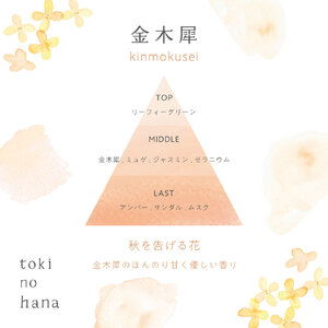 トキノハナ リードディフューザー キンモクセイ の 香り 晴香堂 HARUKADO toki no hana  金木犀 ルームフレグランス 芳香剤 インテリア アロマ 香り リビング 玄関 ベッドルー