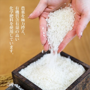 SA2846　令和7年産【白米】はえぬき　5kg(5kg×1袋) YA