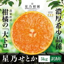 【ふるさと納税】【訳あり】星乃みかん園の星乃せとか(5kg)【D45-60】_ セトカ ミカン 蜜柑 みかん フルーツ 果物 くだもの 柑橘 柑橘類 人気 美味しい 愛媛県 八幡浜市 ふるさと 【1339333】