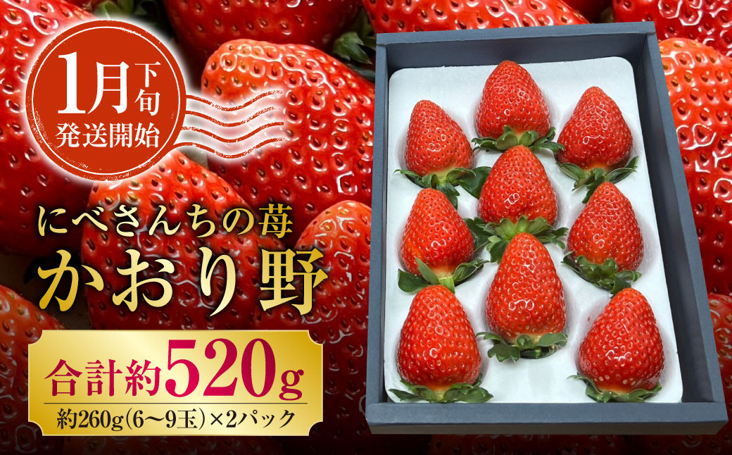 【3か月連続定期便】にべさんちの苺 熊本県産イチゴ食べ比べ定期便 (かおり野・桃薫・空音)