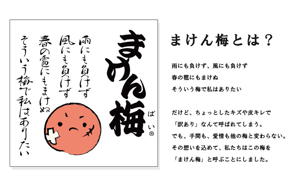 訳あり梅干し 蜜宝梅［R］ 約4kg(500g×8) 　紀州南高梅 塩分約5％ C-012