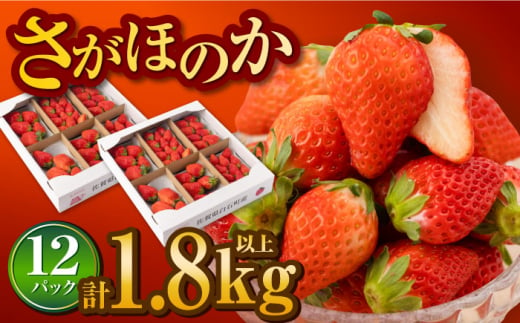 【先行予約】白石産いちご さがほのか 約150g×12パック（計1800g以上） [IAA038]