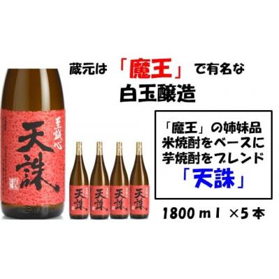 ふるさと納税 錦江町 【魔王の姉妹品】白玉醸造の「天誅」5本セット(No.4020-1)