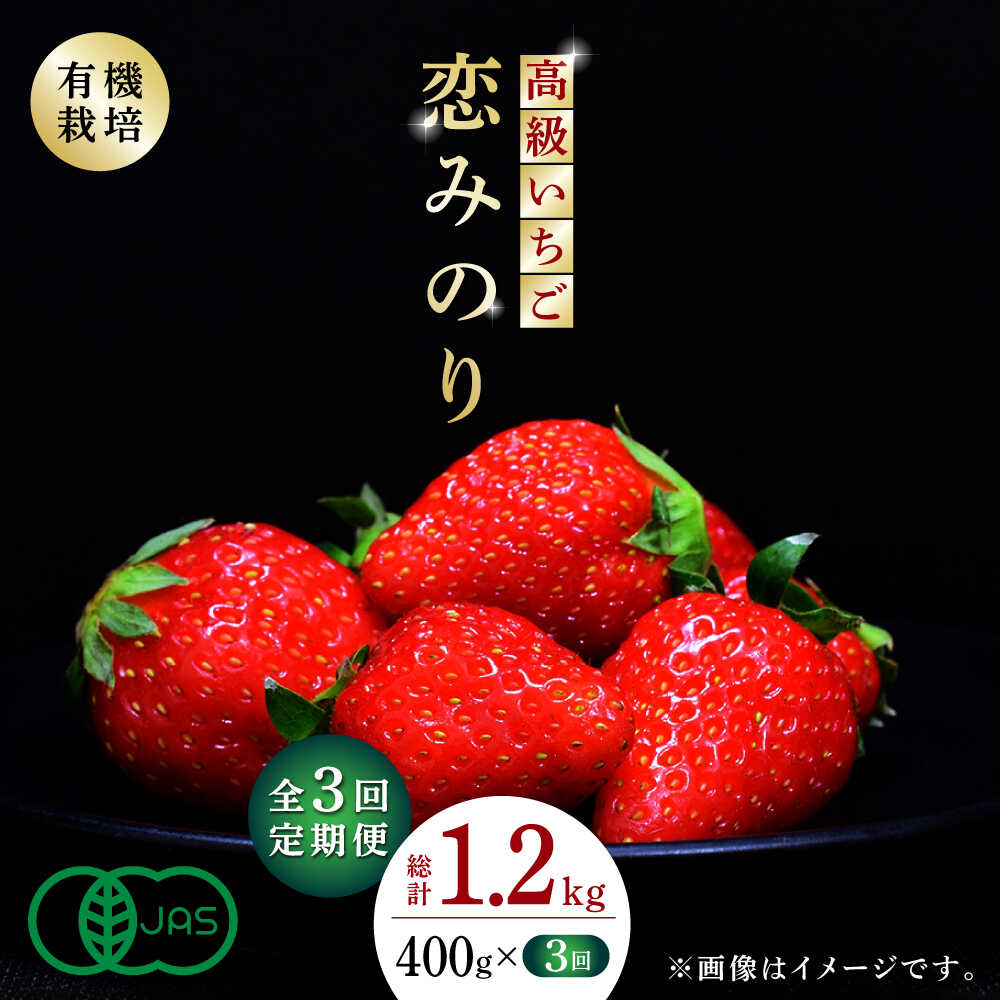 【ふるさと納税】【先行予約】【3回定期便】高級 いちご 恋みのり 約400g（200g×2pc）【伊藤農園】[ZBB008] イチゴ 旬 有機栽培 評判 レビュー 完熟 高級いちご フレッシュ 山鹿 人気 産地 新鮮 特産 特産品 ブランド お取り寄せ おすすめ 熊本県