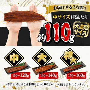 鹿児島県産 うなぎ蒲焼 中 6尾セット 鰻蒲焼 計約660g(約110g×6尾) タレ・山椒付き 鰻 ウナギ 国産【おおさき町鰻加工組合】B145