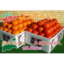 【ふるさと納税】小原紅早生 & 完熟温州 セット 約5kg ( 小原紅早生みかん約2.5kg & 完熟温州みかん約2.5kg ) S ～ Lサイズ ｜ みかん | フルーツ 果物 くだもの 食品 人気 おすすめ 送料無料