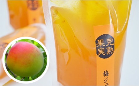 【爽やかな酸味と甘み】 梅ジュレ セット [UAZ001] 梅 うめ ウメ ジュレ 梅ジュレ小分け 南高梅 梅料理 国産梅 佐賀の梅 武雄の梅
