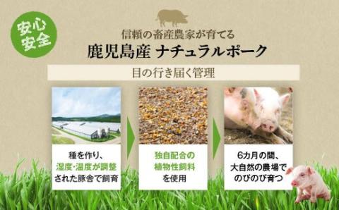 鹿児島県産豚厚切りステーキ&しゃぶしゃぶ三昧セット〈約4.4㎏〉