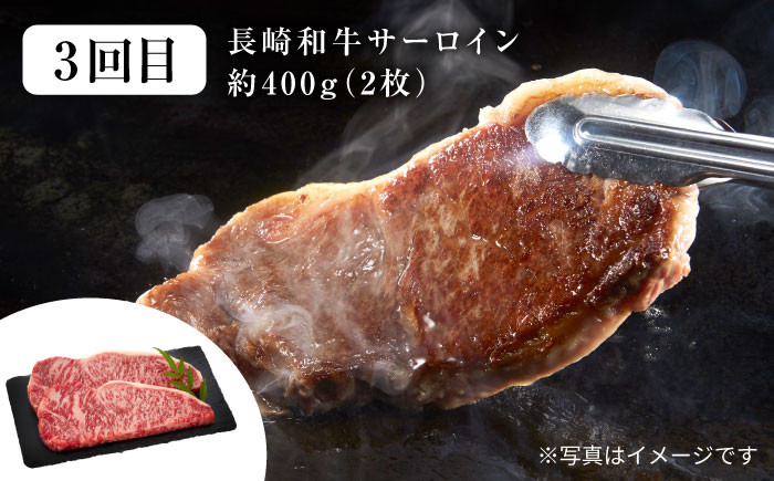 長崎和牛 SPF豚 サーロイン 焼肉 国産