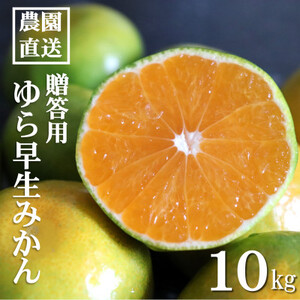 【先行受付】和歌山産　ゆら早生みかん　贈答用　秀品　約10kg箱入り　2S～2Lサイズ【1482415】