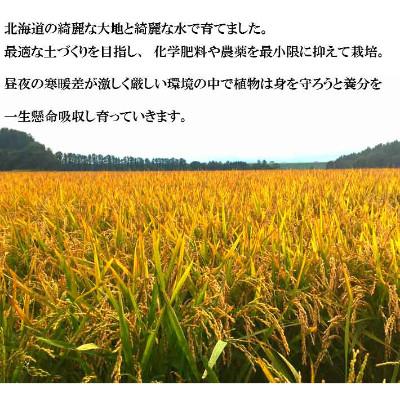 ふるさと納税 富良野市 冷めてもモチモチ 北海道富良野産 ななつぼし 精米 10kg×1袋 |  | 01