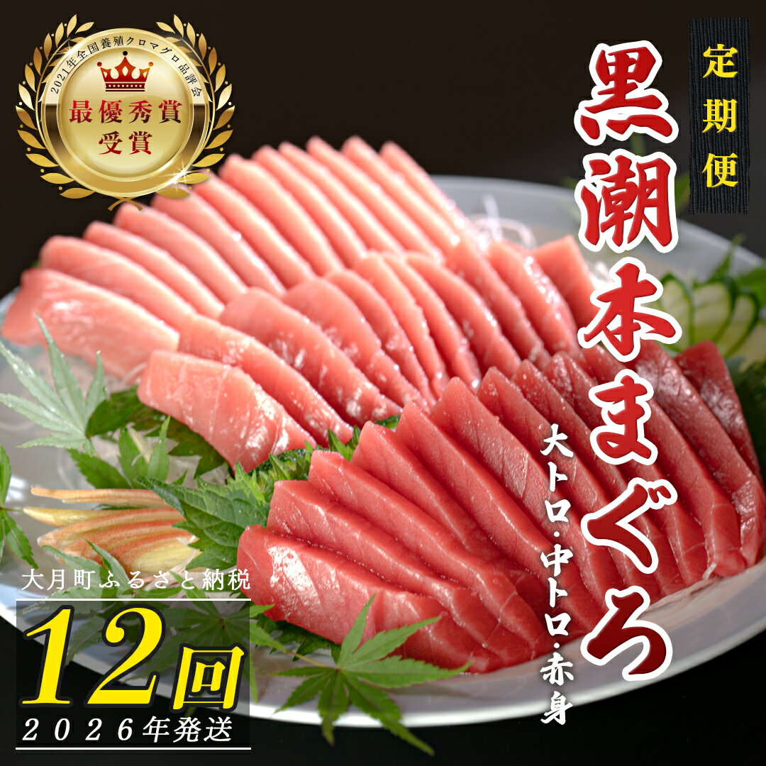 【ふるさと納税】【定期便 12回】日本一!黒潮本まぐろ 大トロ・中トロ・赤身 3種セット