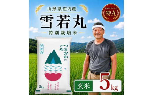 【令和7年産】 特別栽培米 雪若丸 玄米 5kg (5kg×1袋)　山形県 庄内産 　| ゆきわかまる 5キロ 米 お米 コメ 食品 ご飯 ごはん 美味しい おいしい ブランド米 庄内米 エコ包装 おすすめ 人気 山形県 鶴岡市 東北 国産 お取り寄せSDGs未来都市鶴岡 返礼品