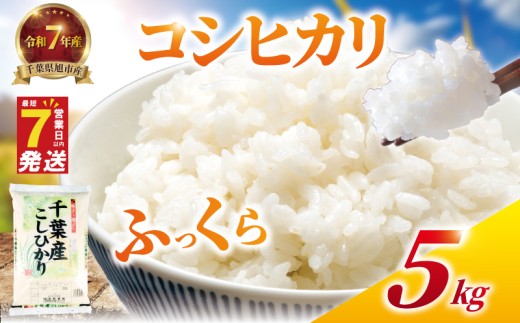 ＼最短7営業日以内発送／ 令和7年産 コシヒカリ 5kg 日時指定可 こしひかり 精米 米 コメ お米 おこめ こめ ライス 白米 ご飯 ごはん 日時 指定 R7米 R7 7年産 令和7年産米 kome 2025 国産 千葉県産 備蓄 家庭用 送料無料 千葉県 旭市 有限会社髙野商店 tst001