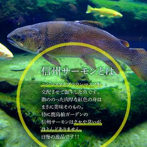 「信州サーモンのお刺身」（100g×2ケ）と「川のいくら（ブラウンマスの卵）のしょうゆ漬け」（100g×2ケ）セット｜ サーモン いくら