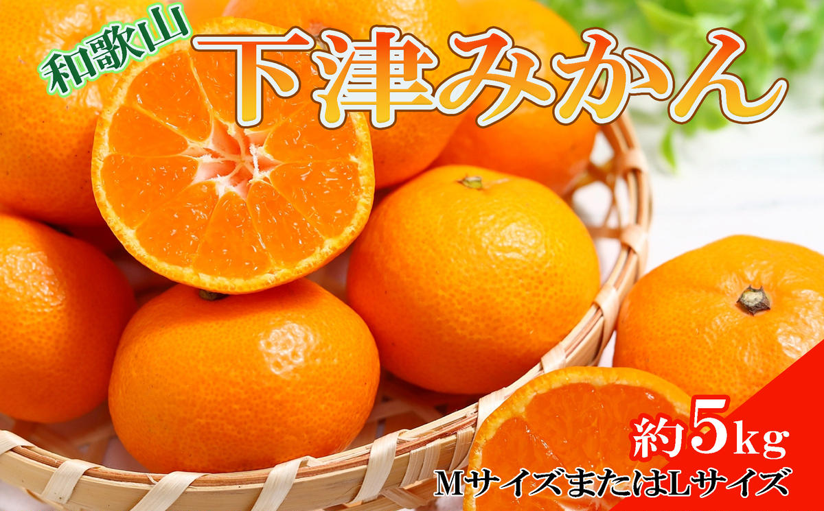 【産直・秀品】和歌山下津みかん約5kg（MサイズまたはLサイズのいずれかをお届け） ※2025年11月中旬～2026年1月中旬頃に順次発送予定