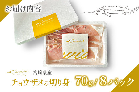 チョウザメの切り身70g×8パックセット 魚介 真空パック カット済み【B687】