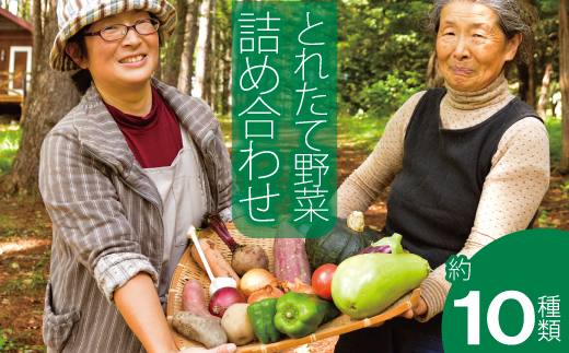 2026年産 相馬ファーム季節の野菜詰め合わせ【AH-001】