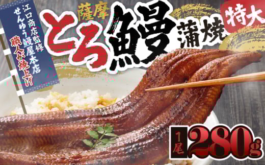 2053-1 薩摩とろ鰻蒲焼特大一尾280g【江口商店監修】　KN084-003