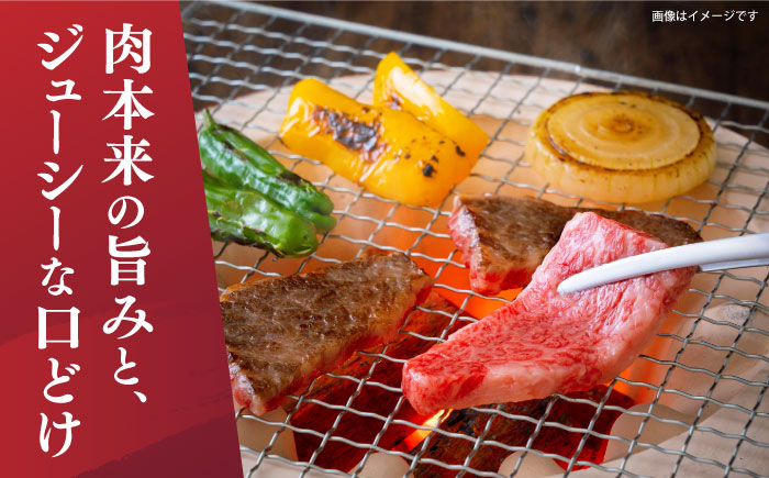 【A4～A5】 長崎和牛 焼肉 用約500ｇ＜株式会社MEAT PLUS＞ [CFT001] 牛肉