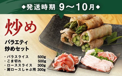 【3回定期便】大分県産ブランド豚「米の恵み」季節の定期便セット 計4.8kg（1～2月・5～6月・9～10月）定期便 豚肉