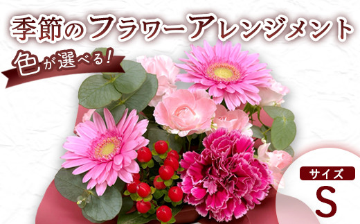 
            季節のフラワーアレンジメント S （選べるカラー イベント） | 花 お花 生花 フラワー フラワーアレンジメント 花束 お祝い 黄色 オレンジ 赤 ピンク 青 紫 母の日 父の日 クリスマス お正月 バレンタイン 配送地域限定 京都府 綾部市
          