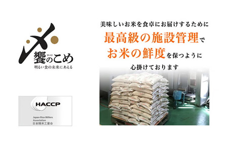 米 無洗米 定期便 石川米 こしひかり 5kg 6回 〈2026年3月より初回出荷〉[38601337] 