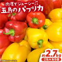 【ふるさと納税】五島のパプリカ 計18個 野菜 サラダ 野菜炒め 【HPIファーム】[PCP003]