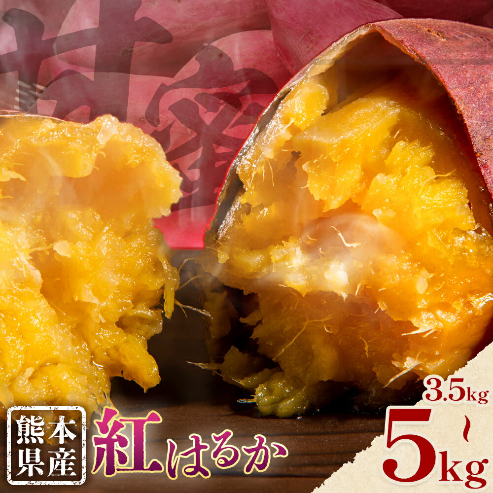 【ふるさと納税】さつまいも 熊本県産 紅はるか 選べる 3.5kg 5kg 日本フルーツ株式会社《11月下旬-6月上旬頃出荷》熊本県 大津町 さつまいも 薩摩芋 からいも 紅はるか デザート 料理 おやつ 蜜芋 野菜 芋 いも