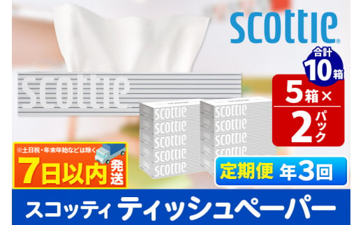 《4ヶ月ごとに3回お届け》定期便 ティッシュペーパー スコッティ 200組 10箱(5箱×2パック) ティッシュ 秋田市オリジナル