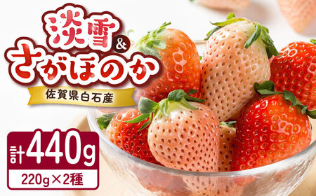 【2026年発送分 先行予約】淡雪・さがほのか 紅白いちごセット各220g / フルーツ / 佐賀県 / 岸川農園 [41ASAG043]