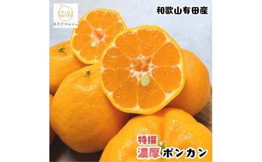 
                  【先行予約】極甘 柑橘 特撰 濃厚 ポンカン 5kg+200g(痛み補償分) ※2027年1月上旬～3月上旬に順次発送予定 ※着日指定不可【ard244A】
                