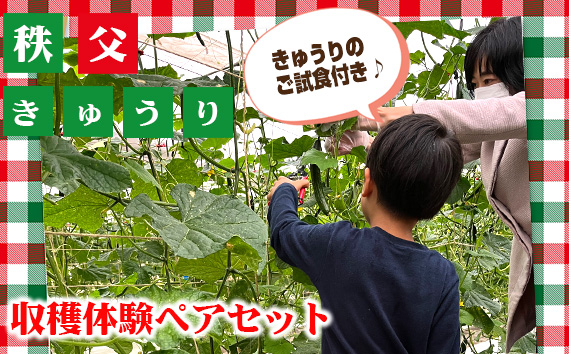 
No.500 秩父きゅうり収穫体験ペアセット（ピクルス漬け液付き） ／ ちちぶ丸山農園 体験チケット きゅうり狩り 野菜収穫 ２名 埼玉県
