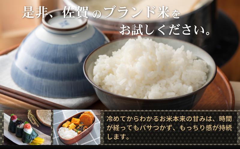 【先行予約】【新米】令和8年 佐賀県産「夢しずく」5kg10月発送：A090-040-1