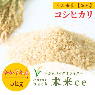 ふるさと納税 津山市 2025年新米【コシヒカリ 白米5kg】|-comeback未来ce-