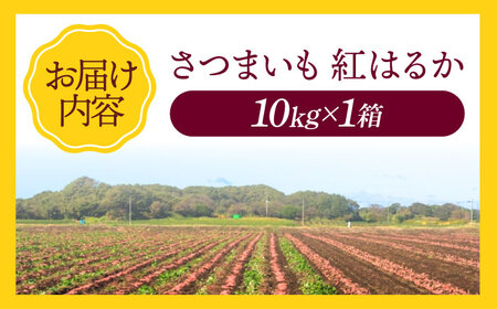 さつまいも 10kg（紅はるか）さつまいも[AGAP021]