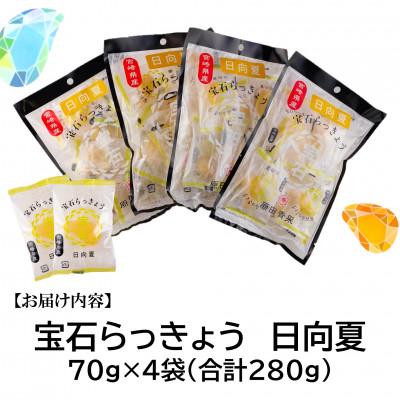 ふるさと納税 三股町 <宮崎県産>宝石らっきょう　日向夏(70g×4袋・計280g)【MI153】 |  | 02