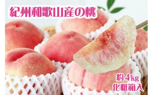 【先行予約】紀州和歌山産の桃　約4kg　化粧箱入※2026年6月下旬頃〜2026年8月上旬頃順次発送（お届け日指定不可）/ 桃 モモ フルーツ おすすめ 果物 くだもの 和歌山　先行予約 予約 【uot723A】