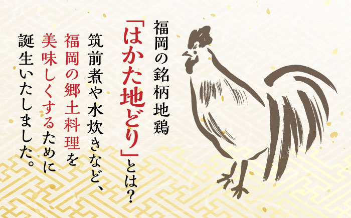 はかた地どり炭火焼きセット500g(100g×5p)  