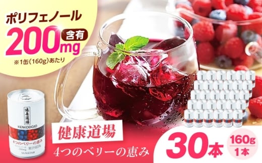 健康飲料 健康道場 4つのベリーの恵み 160g×30本 ポリフェノール 健康飲料 飲料 果物 ブルーベリー ラズベリー ベリー 野菜ジュース まとめ買い 美容ドリンク 眼精疲労 ビタミンC エイジングケア フルーツジュース ドリンク 缶 飲みやすい 美容習慣 健康維持 大阪府高槻市/サンスター [AOAD052]