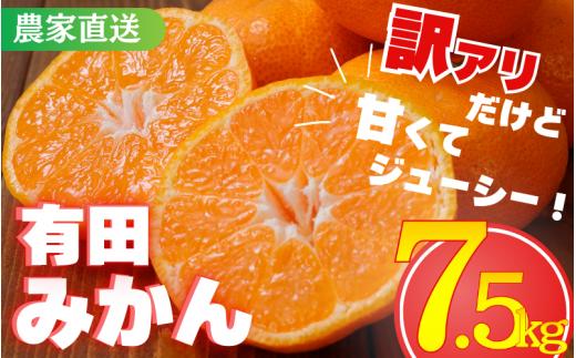 【訳あり】農家直送 有田みかん 約7.5kg ご家庭用 サイズ混合 （お届け日指定不可）※2025年11月中旬より順次発送予定　※北海道・沖縄・離島への配送不可 ／ みかん 温州みかん サイズ混合 温州みかん 有機質肥料100% ふるさと納税 柑橘 有田 産地直送【nuk157C】
