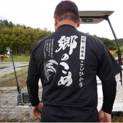 ふるさと納税 京丹後市 京都・網野郷産 特別栽培米コシヒカリ 玄米10kg  京のプレミアム米「最高金賞」受賞 |  | 02