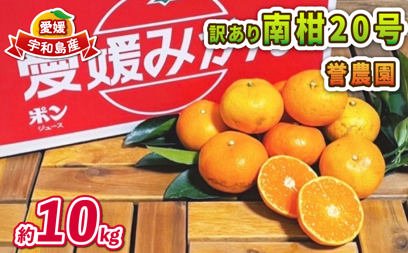 愛媛みかん 訳あり 南柑20号 10kg 誉農園 愛媛ミカン 愛媛蜜柑 みかん 蜜柑 mikan 果物 くだもの フルーツ 柑橘 みかん 蜜柑 数量限定 農家直送 産地直送 国産 愛媛 宇和島 B01
