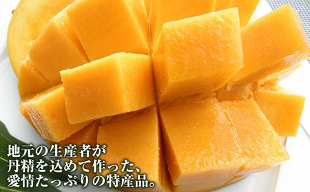 【2025年発送】南風原町くがに市場のキーツマンゴー　優品　化粧箱　2kg