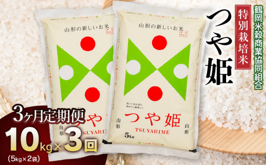 【3回定期便】令和7年産 特別栽培米 つや姫 10kg (5kg×2)×3回　山形県庄内産　鶴岡米穀商業協同組合 | 精米 国産ブランド米 米どころ 庄内米 ご飯 おにぎり 冷めても美味しい お弁当 おすすめ 人気 安心 安全 送料無料